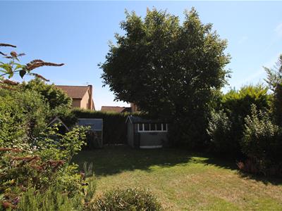 Picture 19